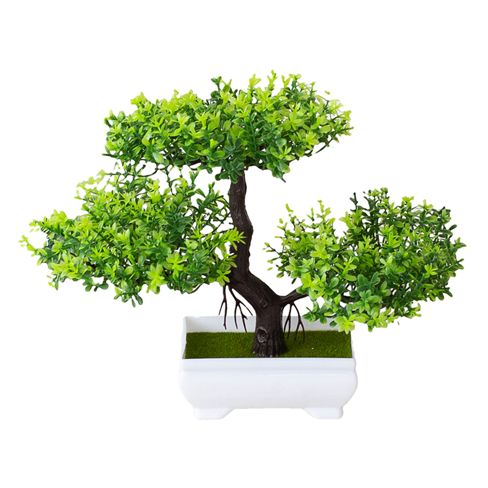 Bonsai Garden Design - Mudah Dikelola, Dekorasi Taman Bonsai Tanaman