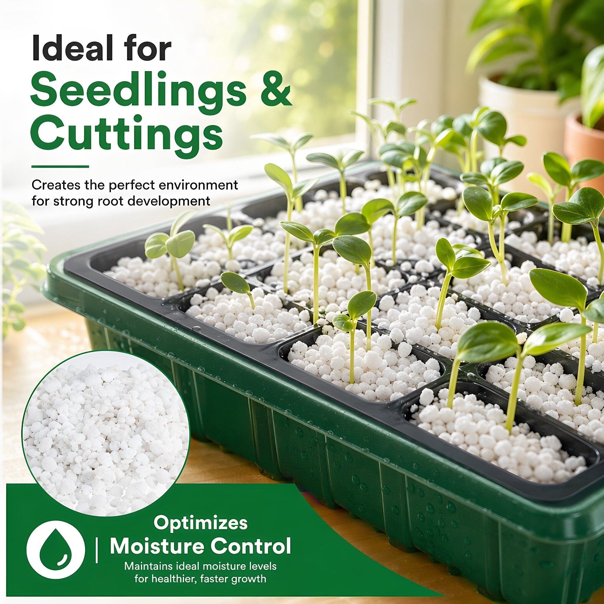 Perlite Pengondisian Tanah Keb - Horticulture Soil Perlite ulasan dan harga