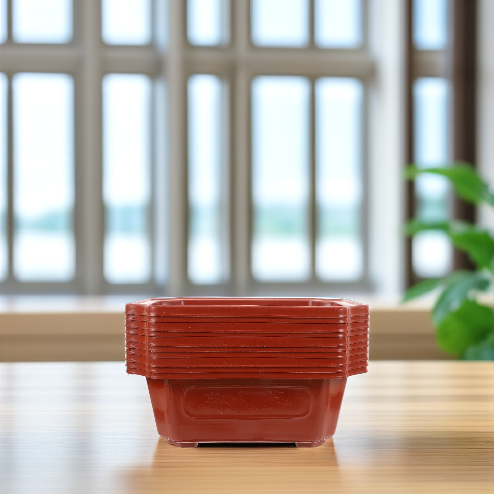 10Pcs Pot Bonsai Plastik Vinta - Bonsai Garden Design ulasan dan harga