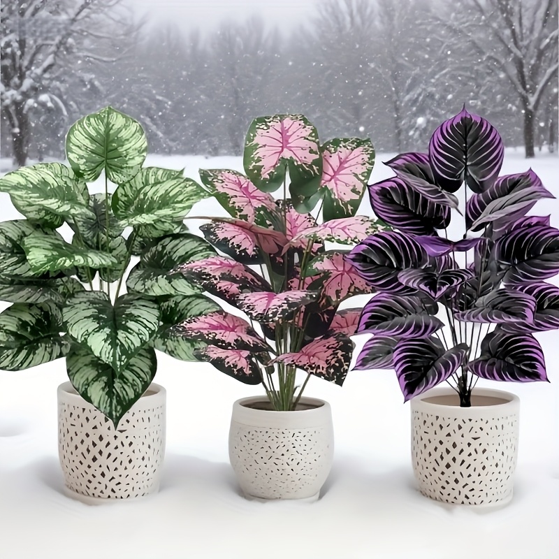 3 Buah 60Cm Set Tanaman Hijau  - Bonsai Garden Home ulasan dan harga
