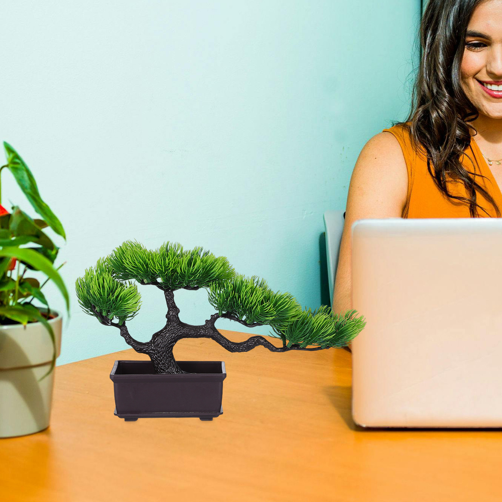 Bonsai Buatan Pohon Pinus Jepa - Bonsai Tree Zen Garden ulasan dan harga