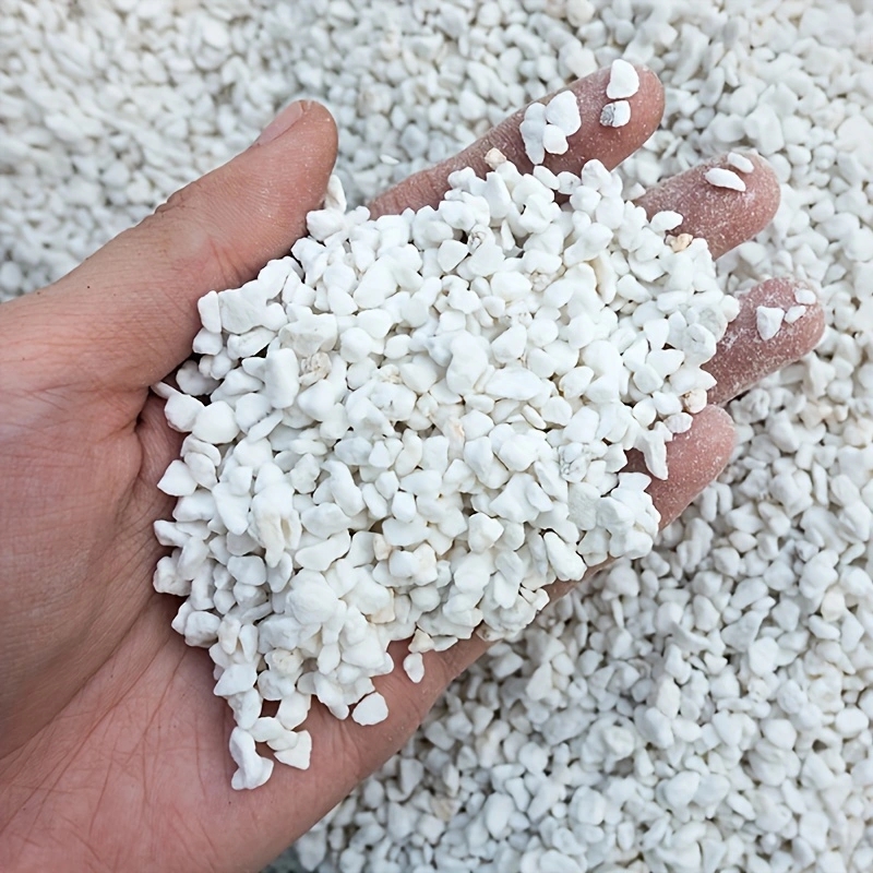 1 Pak Perlite Hortikultura 3-6 - Horticulture Soil Perlite ulasan dan harga