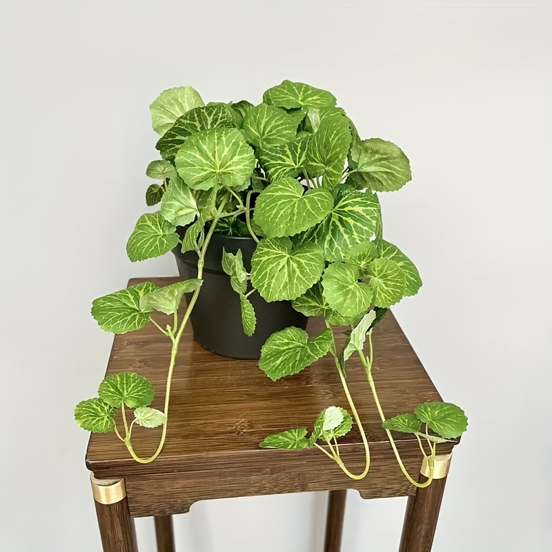 Tanaman gantung buatan, menamp - Bonsai Garden Home ulasan dan harga