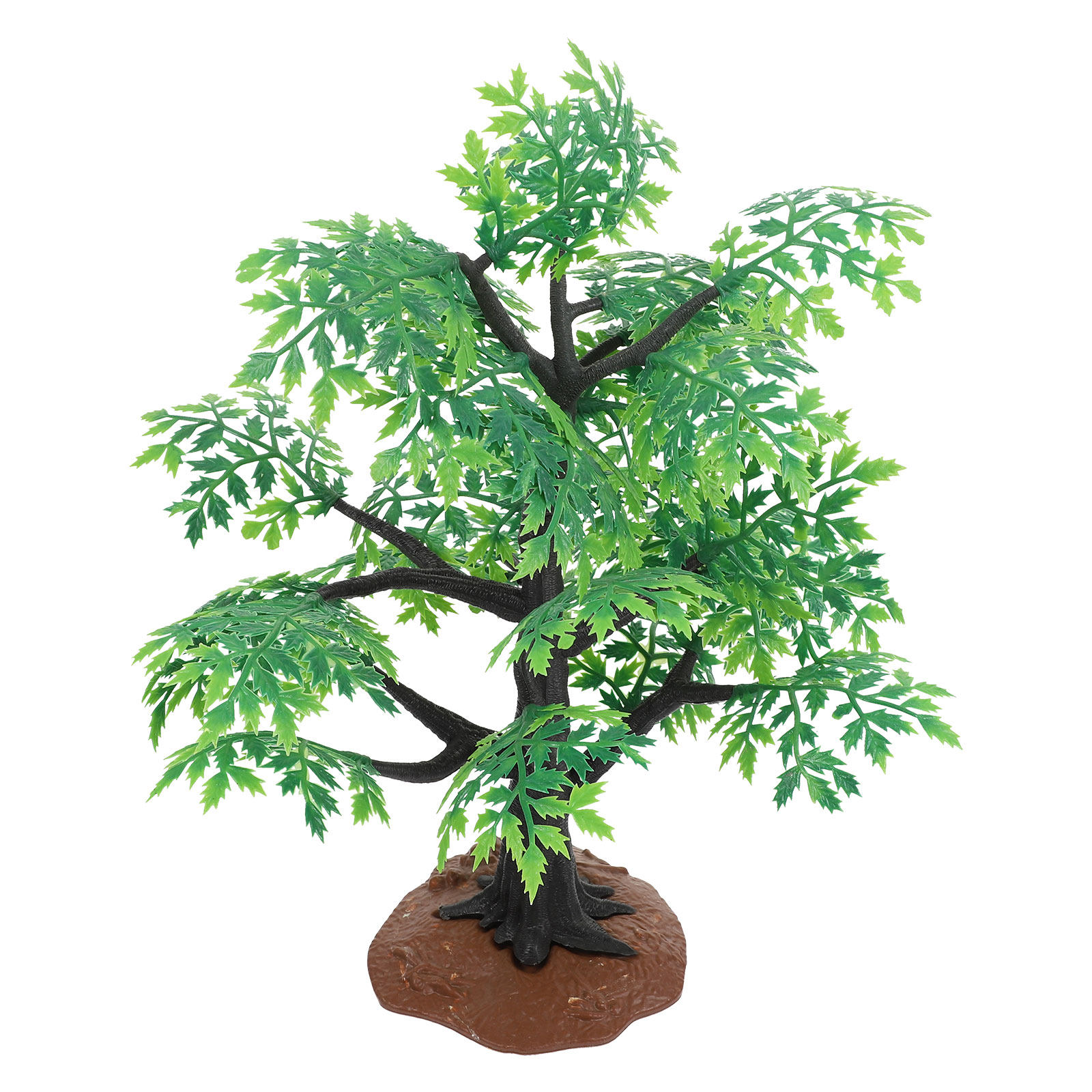 Ornamen Pohon Maple Mikro Koko - Bonsai Garden Design ulasan dan harga