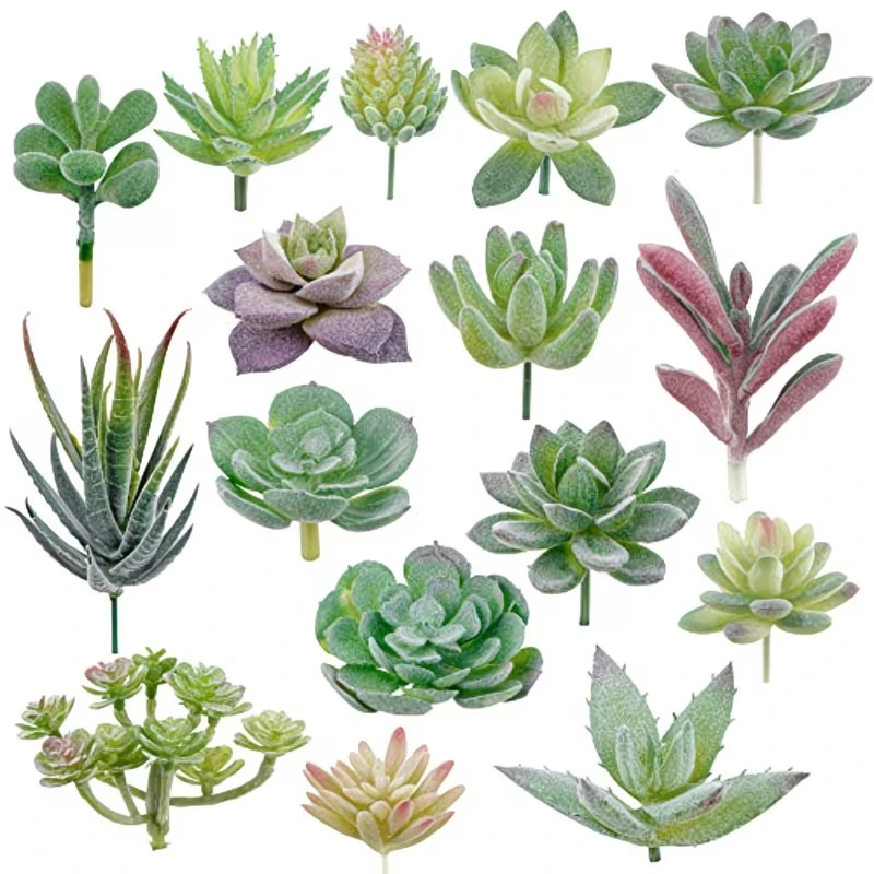10/20 Buah Tanaman Sukulen PVC - Bonsai Garden Home ulasan dan harga